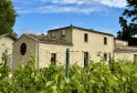 Château l'Éperon in Bordeaux: beige stone building with grapevines in foreground, classical 18th-century Bordeaux architecture