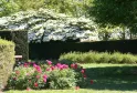 Landscaped garden at the Barails Ecological Reserve in Bordeaux featuring pink peonies in the foreground, trimmed boxwood hedges, a wooden bench, and white flowering trees in the background.