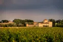 Château Lafaurie Peyraguey, an ochre-colored Bordeaux estate surrounded by lush vineyards in the wine region of Bordeaux.