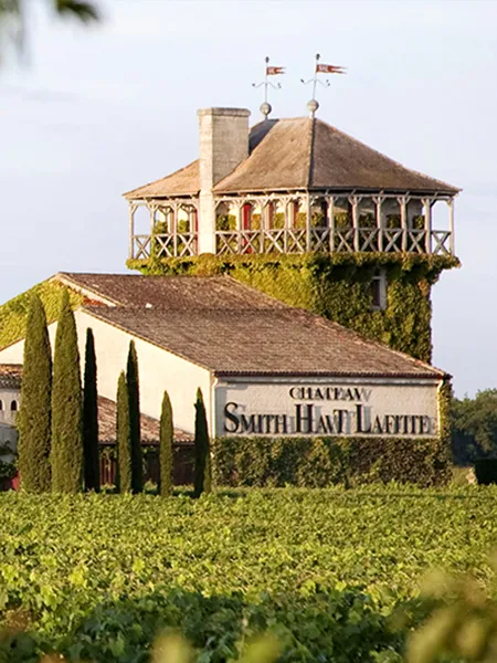 Deepix / Bordeaux Wine Trails